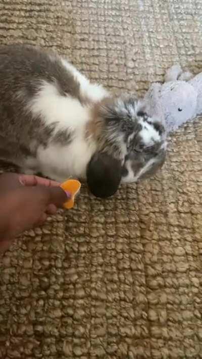 I’m so surprised he doesn’t like it 😫😂