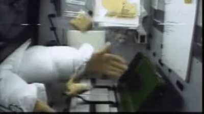 Frog react to zero gravity