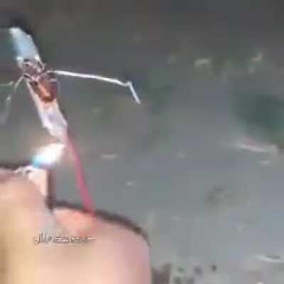 Turkish space program 😎😎😎