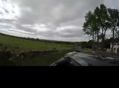 This the calmest accident i have ever seen