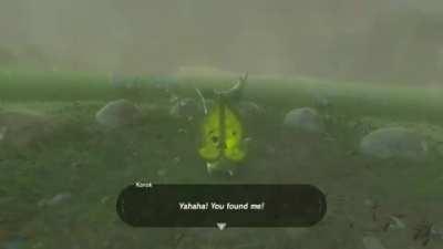 I think the Korok's just took their revenge for all the rocks i have dropped on them.