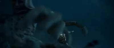 OTHER: Cheetah, the Apex Predator