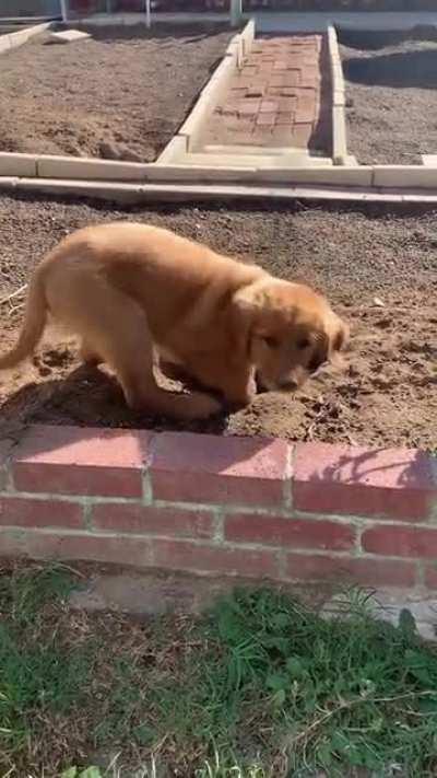 Nothing to see here!