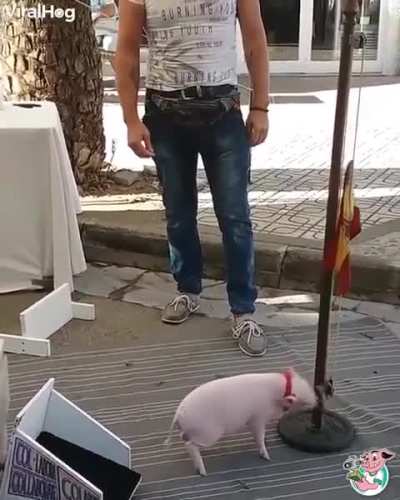 High intelligence specimen!!!