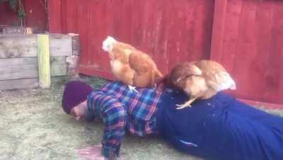 told him chicken is good to get more gains