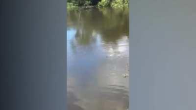 esse vídeo é lindo