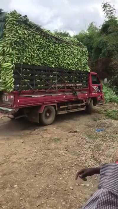 What Could go Wrong!