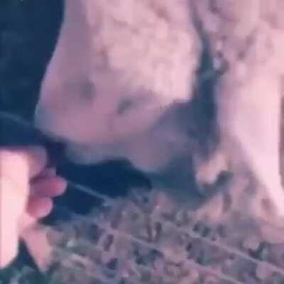 Oscar te quiero 😳