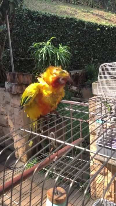 Bath time is party time XD