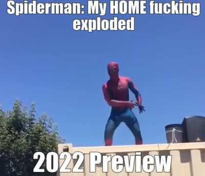 Human Male Who Possesses Powers Akin to That of A Spider and Fights Crimes While Assisting The Manhattan Police Force