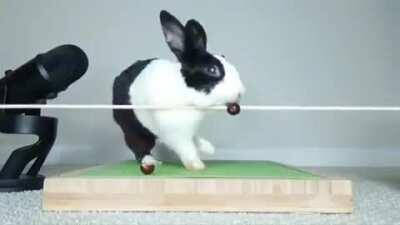 Trying to eat a grape