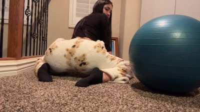 Some usual twerking.