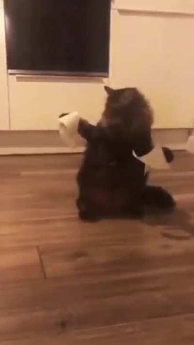 An interesting title