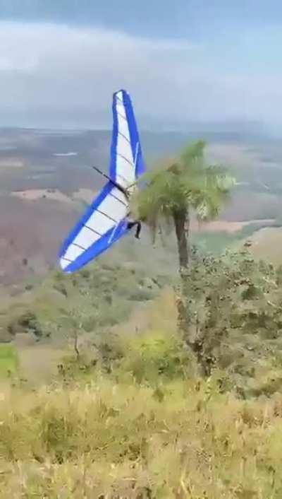 The solitary tree in the horizon—what could possibly go wrong?