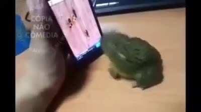 Só par aparece no degustação de meme souzones sou seu fã