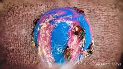 If you look closely, you can see your future.