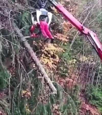 That's one way to cut trees.