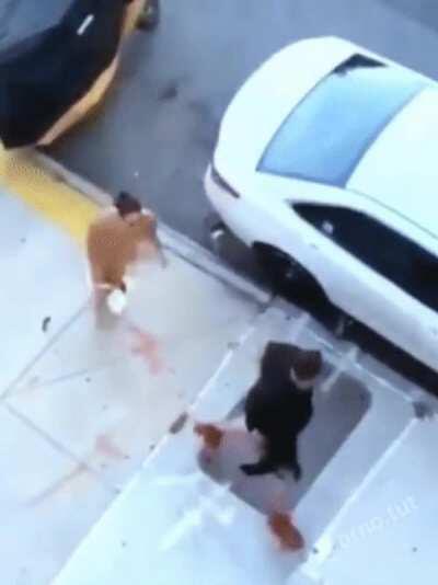 Woah!! What's happening here?