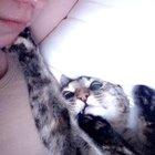 “Don’t worry stupid hooman, I’ll show you the ways of the cuddles. It’s a simple ‘foot on your face, foot on my face’ formula...you sees?”