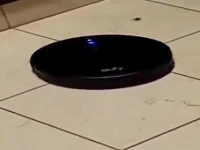 cual es su musica favorita del almas oscuras?