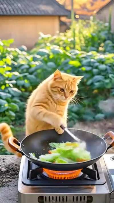 me when I finally find a husband 