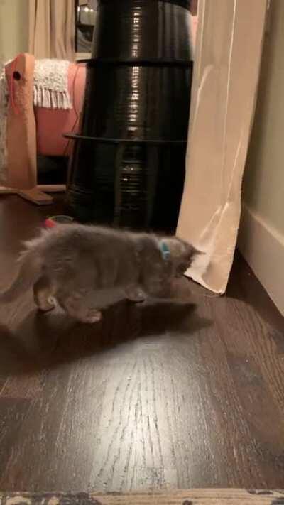 Wanted for destruction of property!