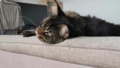 Sundays are for being lazy