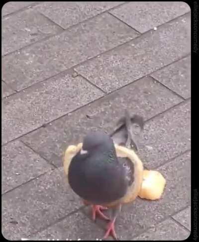 it's a sign of wealth