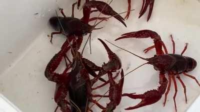 Got here just in time