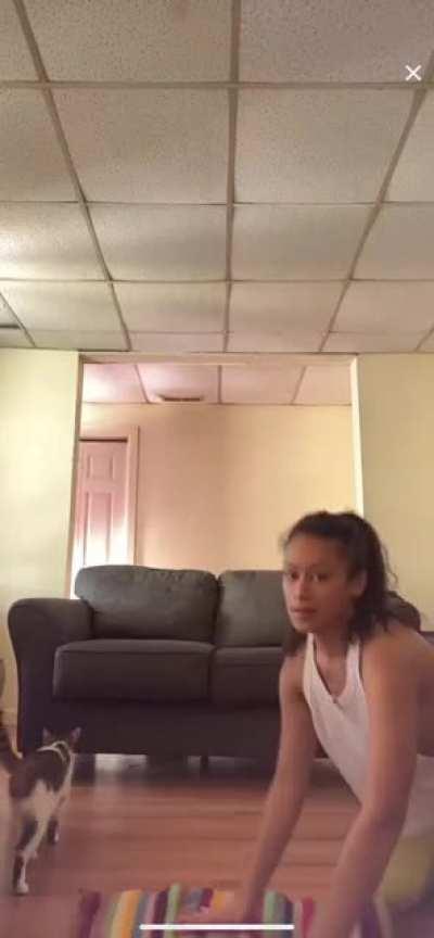 I’m the nipslip catching king 😍😍😍 Pepperoni nipples