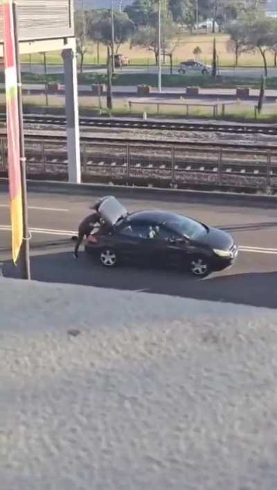 It gets wilder by the second