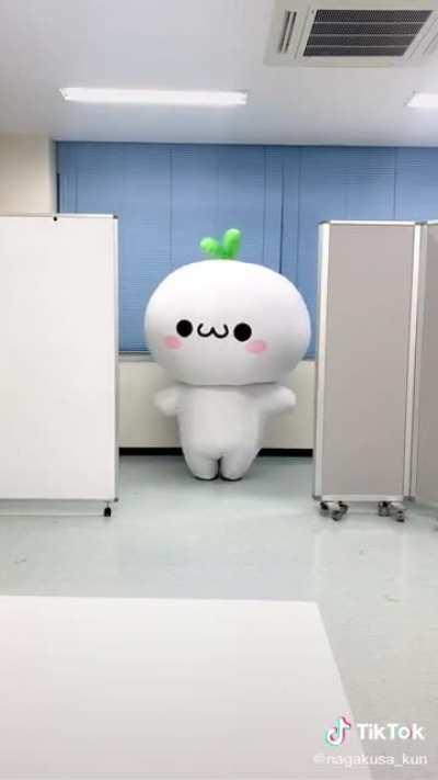 And now, for a brief break from reality