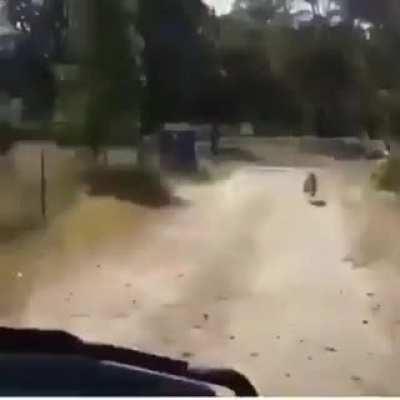 Webadas - Video #9588