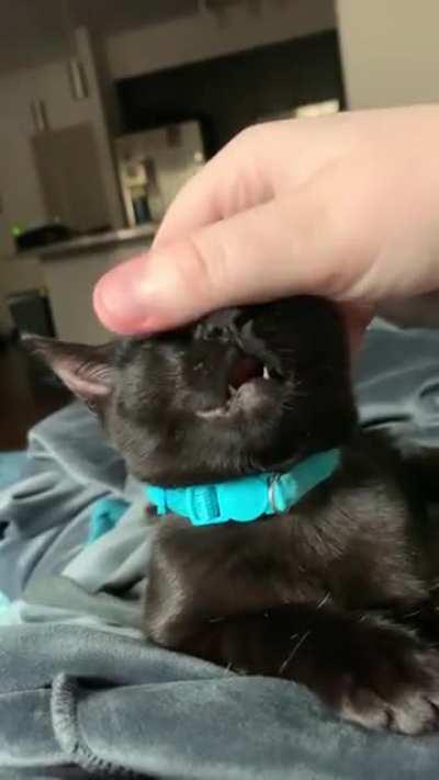 Here’s your moment of zen for today.