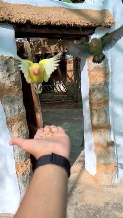 Pretty little slowmo