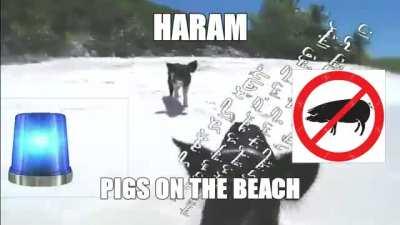 Swimming on beach is not permitted