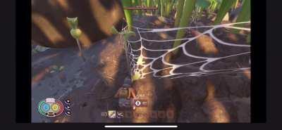 First experience with pets didn’t go too well...