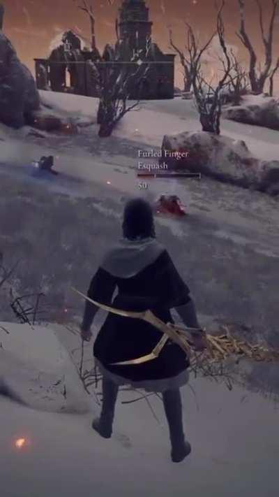 There are Elden Ring pro players and then there's this guy