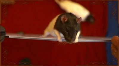 Anything to be on camera 🥺