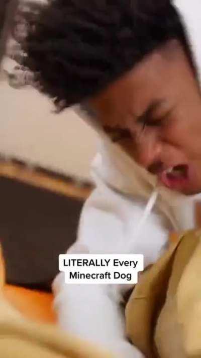 With about 50 more dogs though