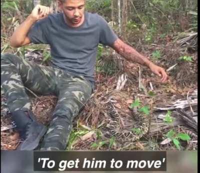 Human escapes surprise face to face encounter with rattlesnake