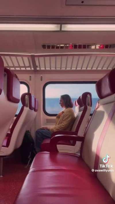 Not really accidental but wes anderson nonetheless