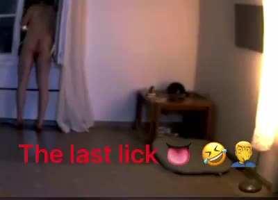The Last LICK