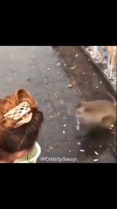 Voteup para que fernan lo vea👍