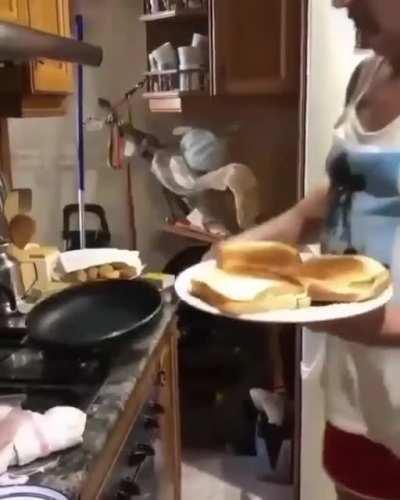 oh man, my sandwiches :(