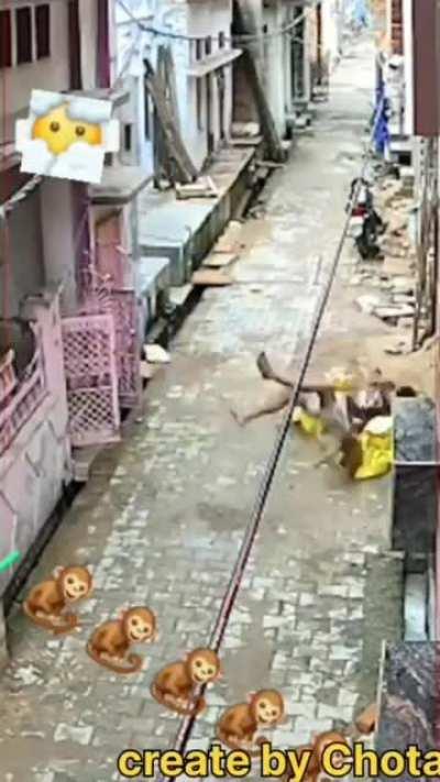 Guy Gets RKOd By Monkey On A Average Day In India