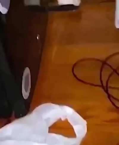 average rat empire soldier