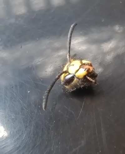 Was told this belongs here..