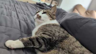 Ah yes that's the spot!