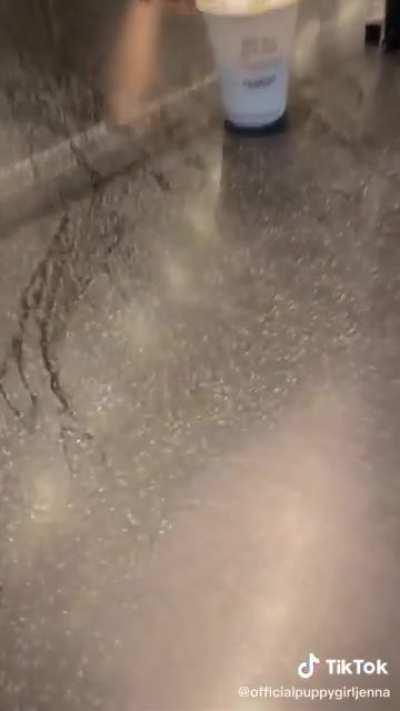 Idk man. Trump can have tiktok at this point.